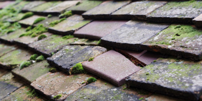 Westoning roof repair costs